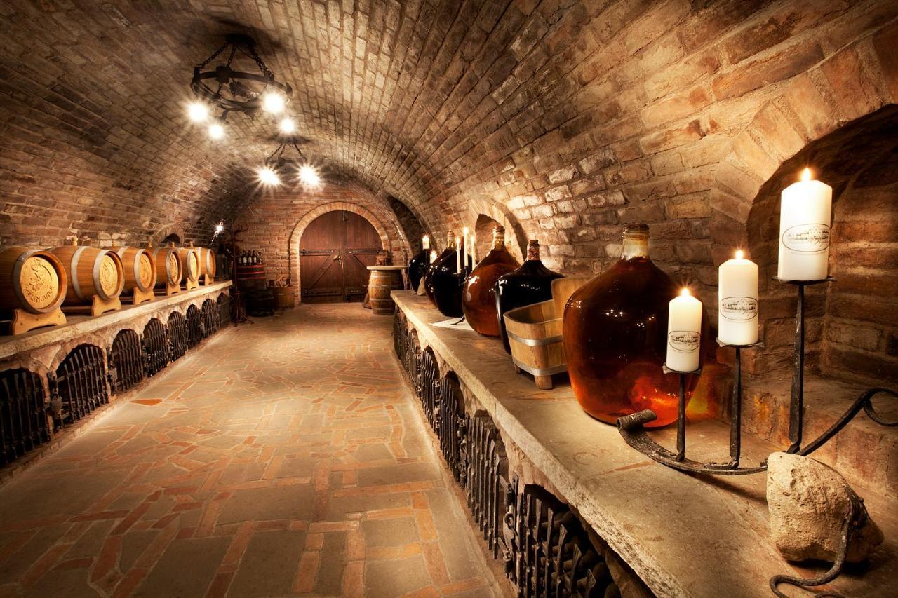 Hotel Vinarstvi U Kaplicky à Zaječí Extérieur photo